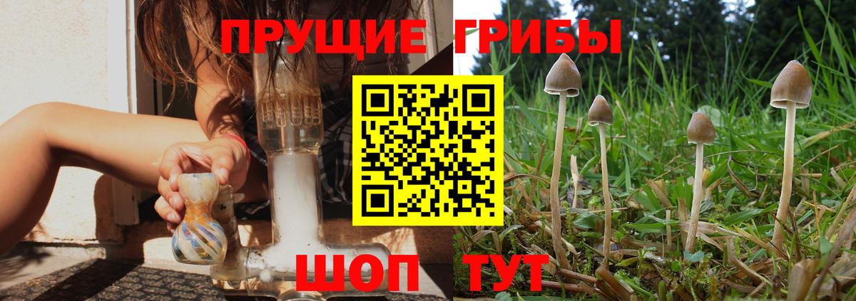 Псилоцибиновые грибы мицелий  Вход с VPN  Галлюциногенные грибы Magic Shrooms  Карпинск 